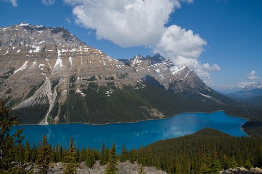 Tour image 4