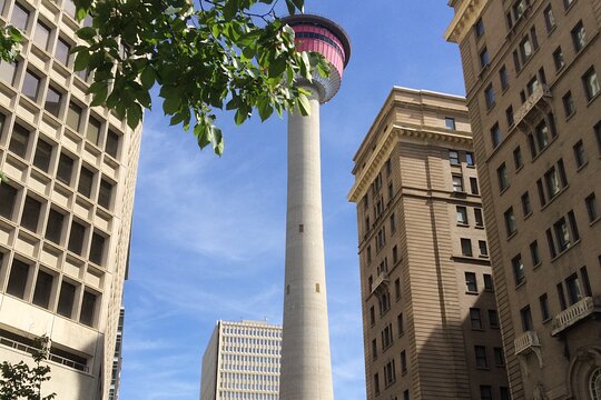 Tour image 4